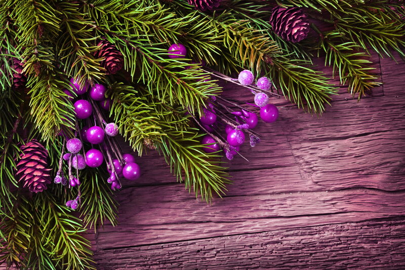 Pine Branches with Berries — Green, Festive, Winter, Photograph