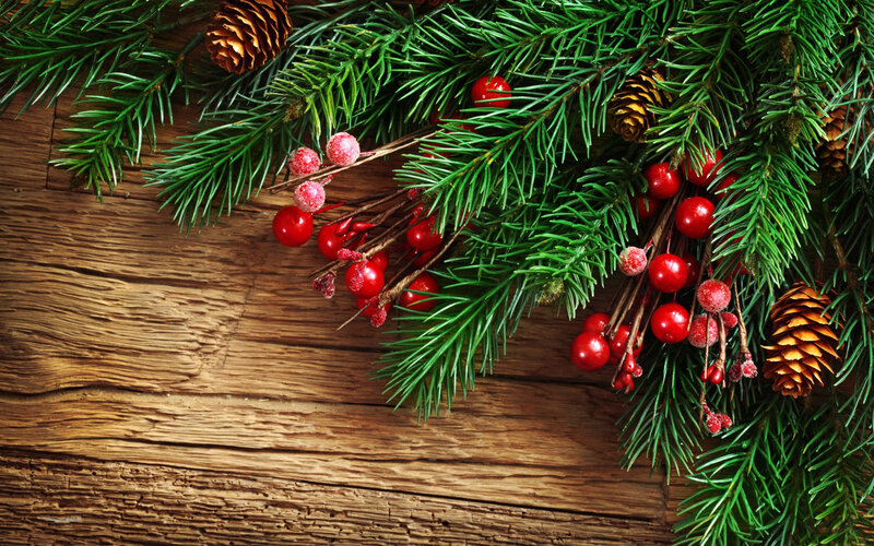 Pine Branches with Berries — Green