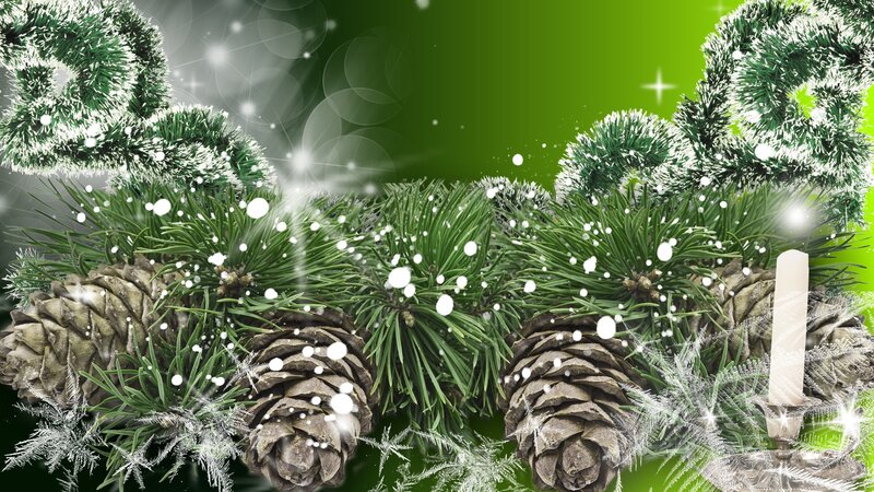 Pine Branches with Cones — Green