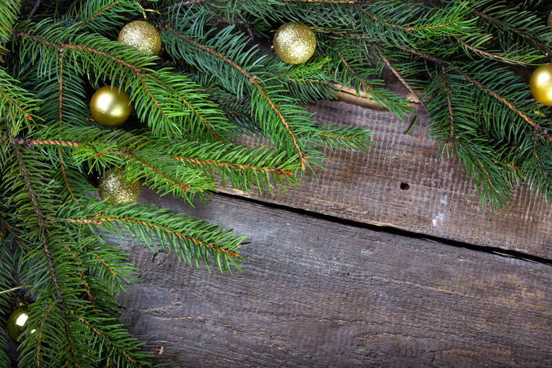 Pine Branches with Ornaments — Green, Festive