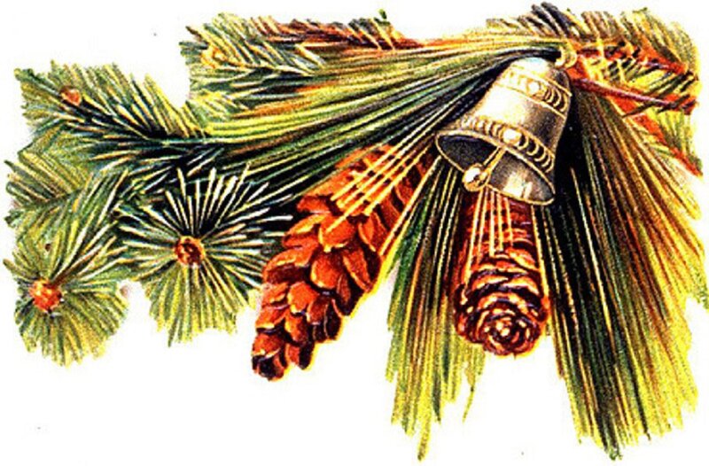 Pine Branches with Pinecones — Green, Festive