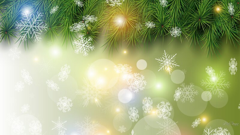 Pine Branches with Snowflakes — Green, Festive