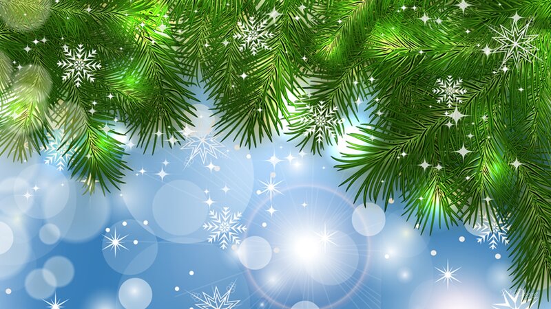 Pine Branches with Snowflakes — Green, Festive, Winter, Digital Art