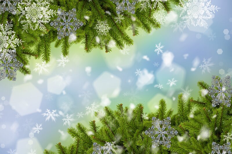 Pine Branches with Snowflakes — Green
