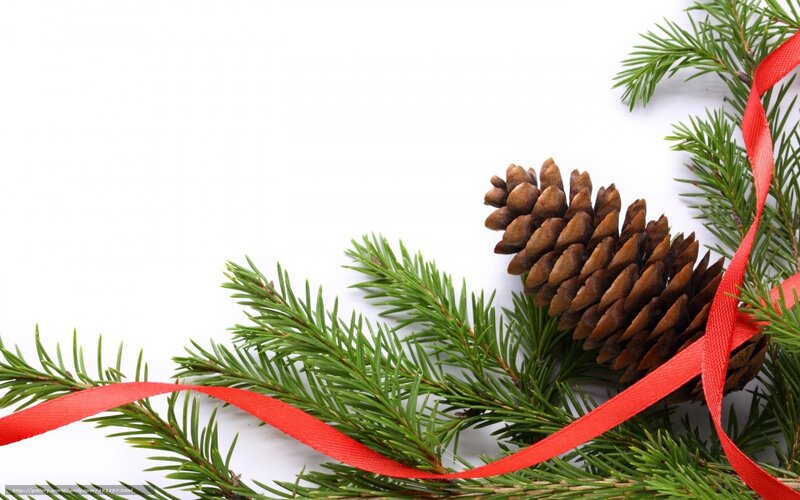 pine cone and evergreen branches