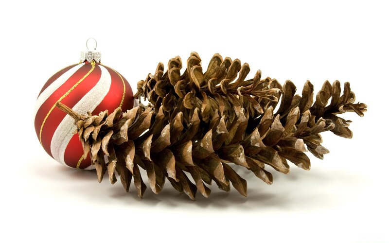 pine cone and ornament