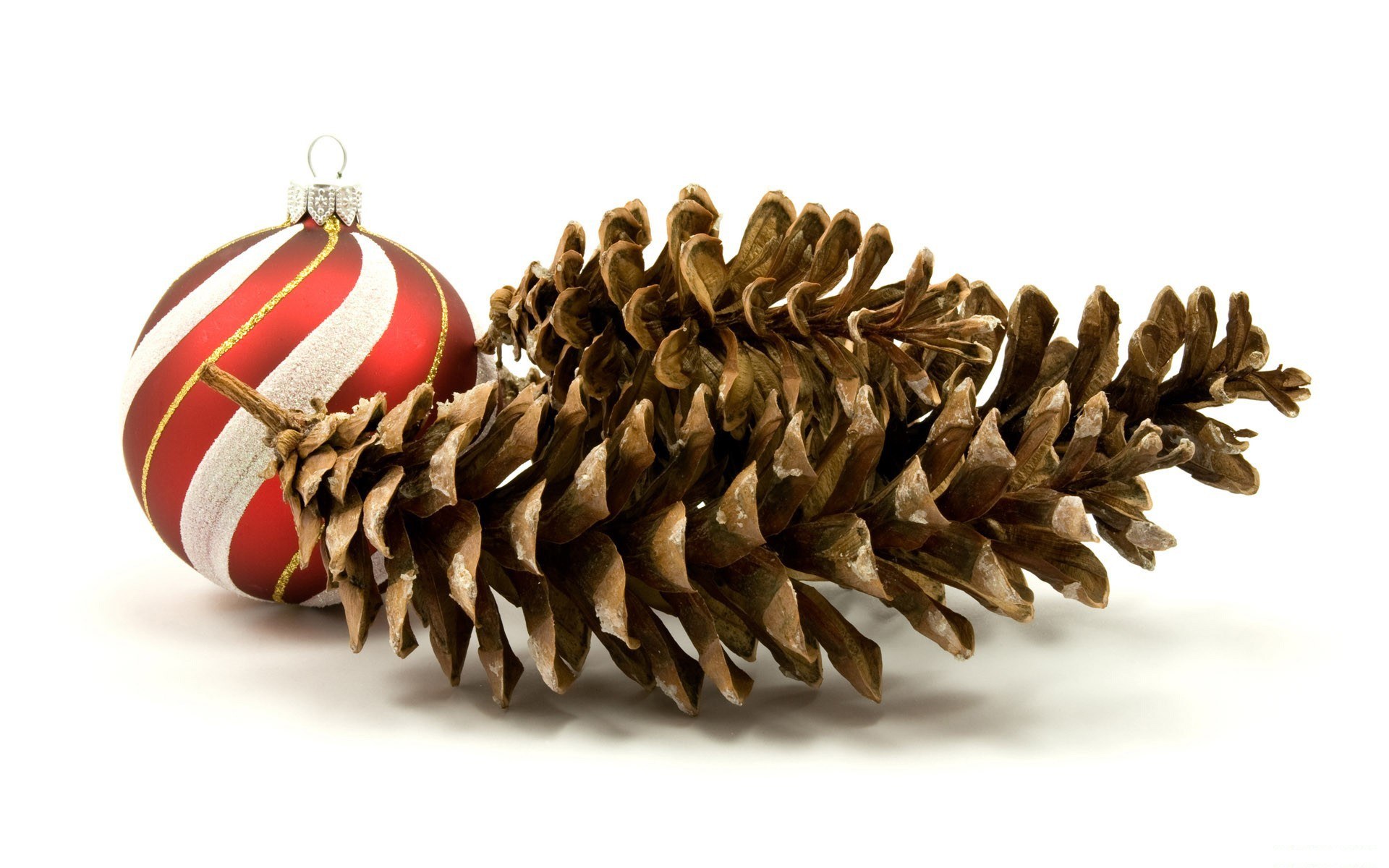 pine cone and ornament