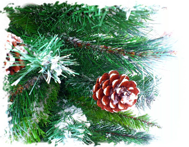 Pine Cone on Branch — Green, Calm, Winter