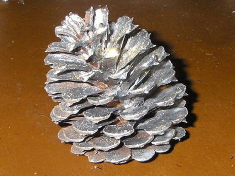 Pine Cone on Brown Surface