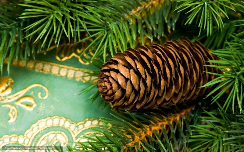 Pine cone on green fabric