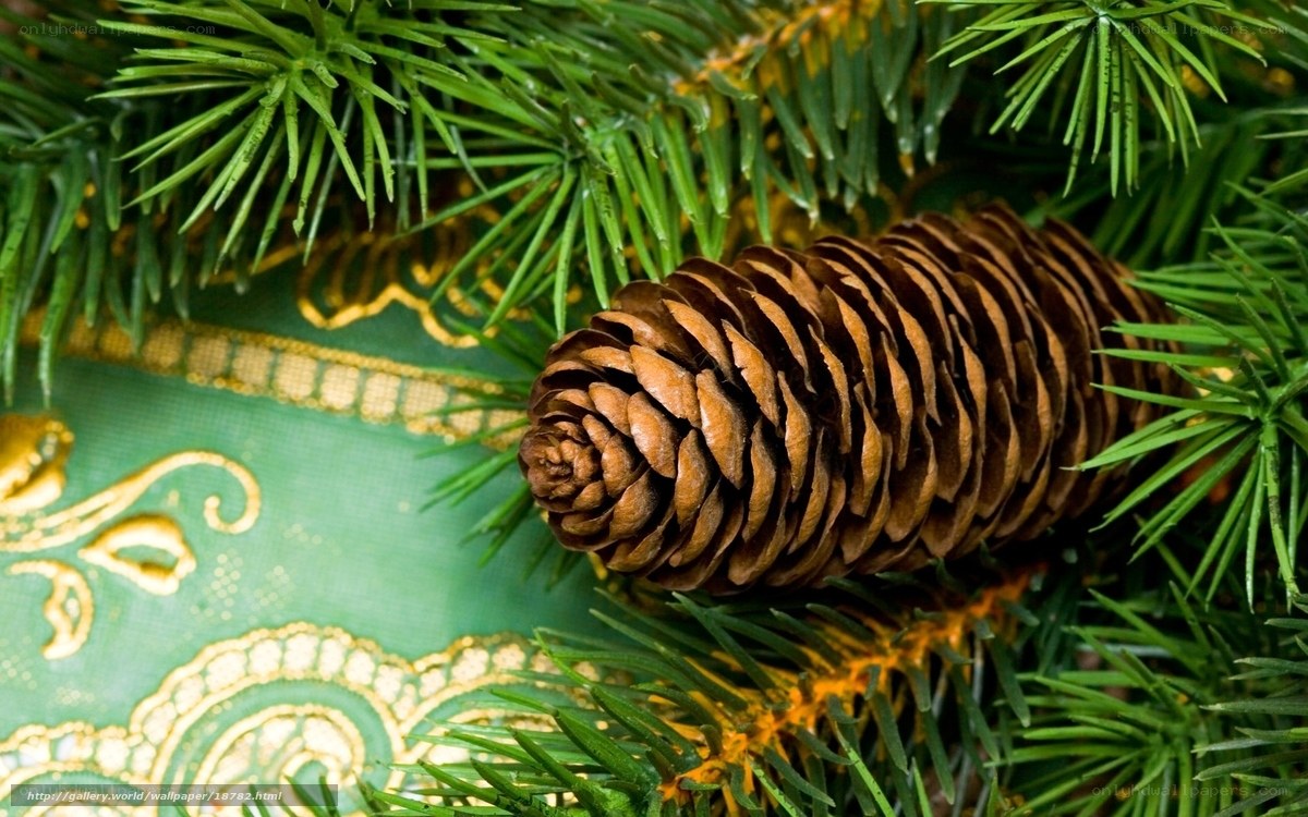Pine cone on green fabric