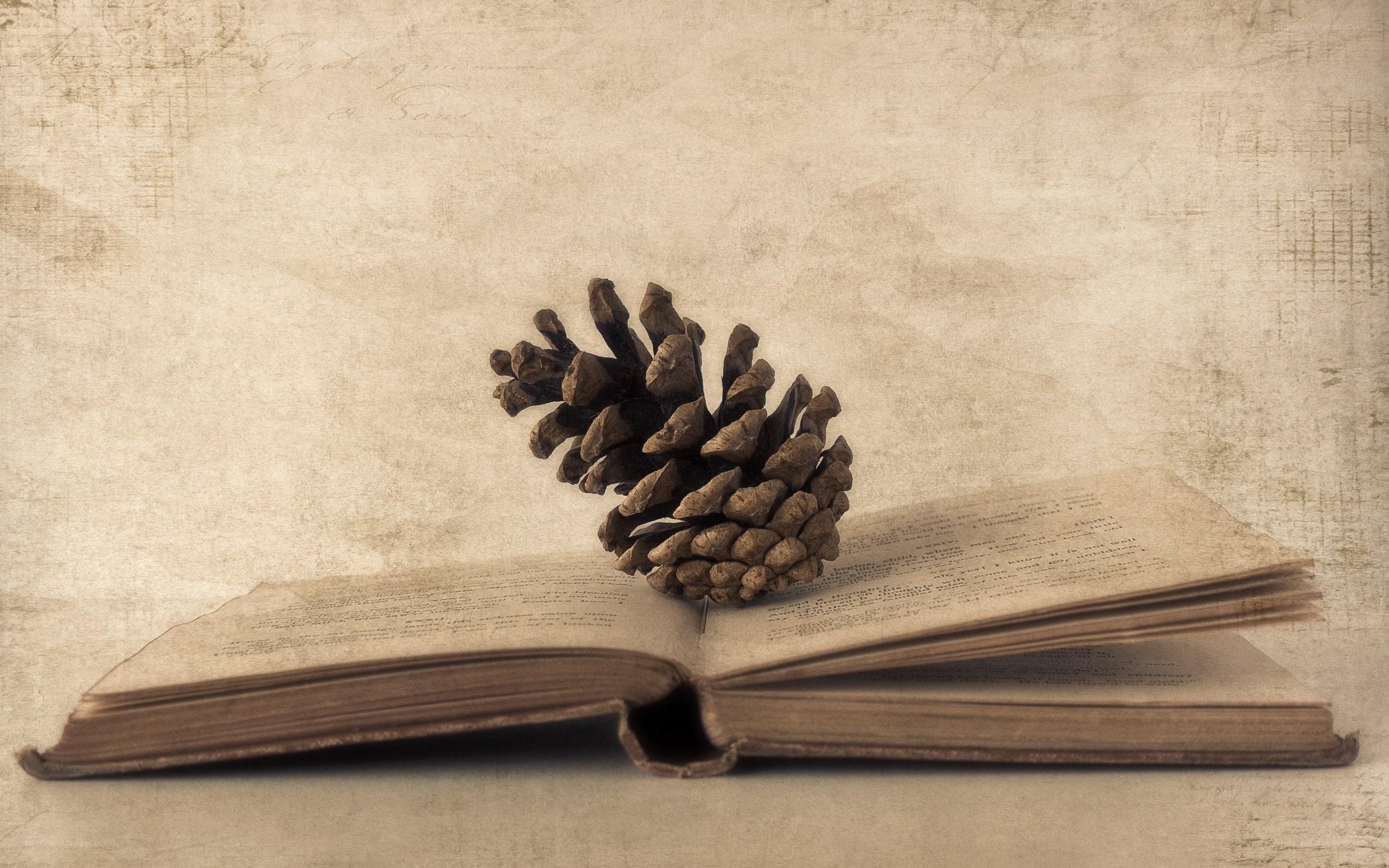 pine cone on open book