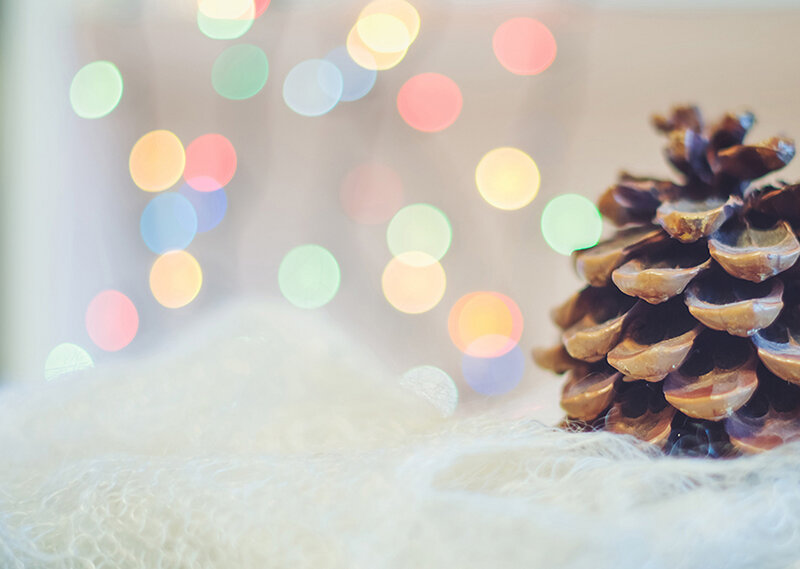 Pine Cone on White Surface