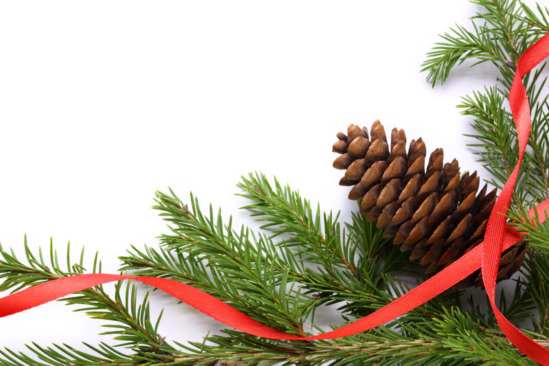 Pine Cone with Branches