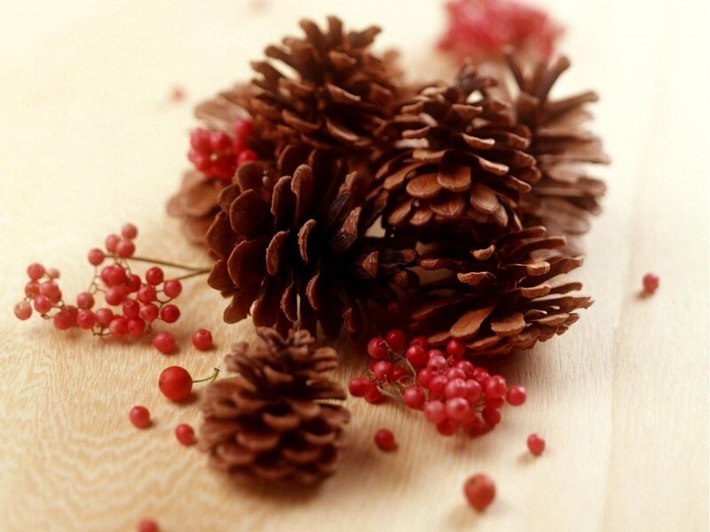 Pine Cones and Berries — Brown