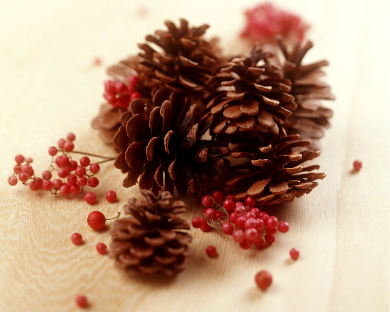 Pine Cones and Berries