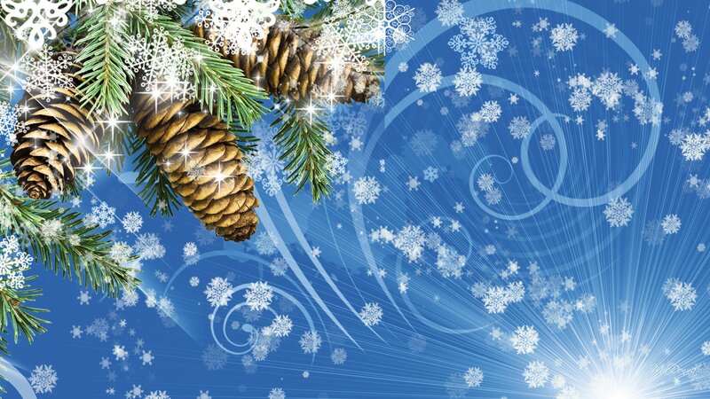 Pine Cones and Branches — Blue