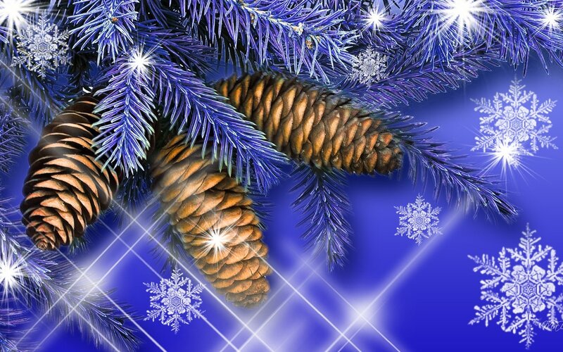 Pine Cones on Branch — Blue