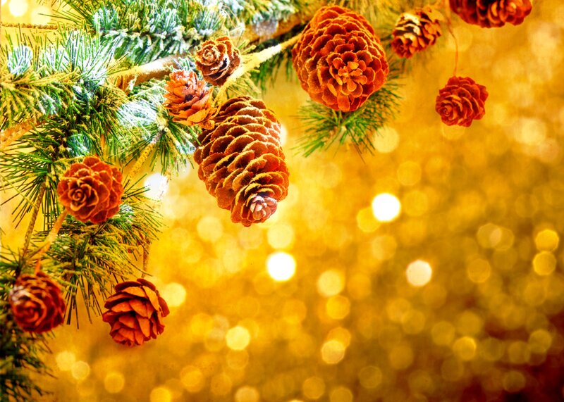 Pine Cones on Branch — Green, Festive