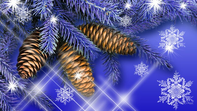 Pine Cones on Branches