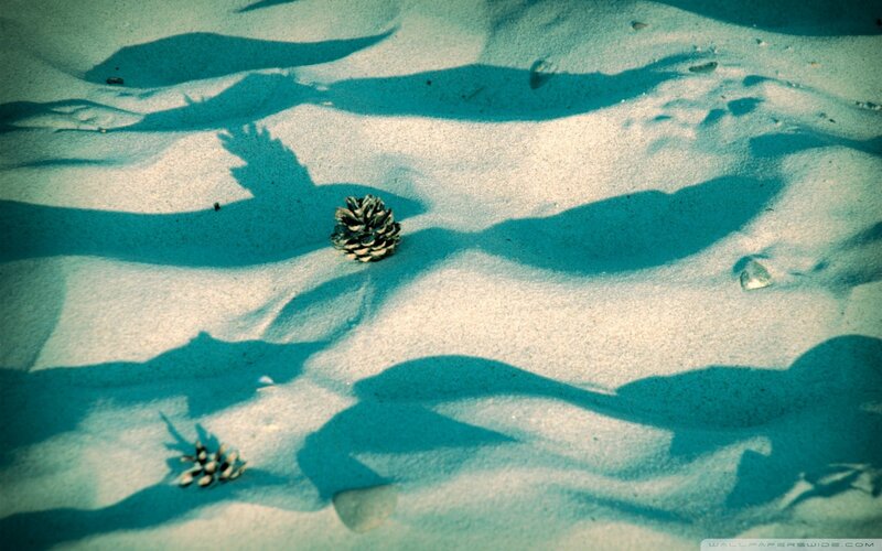 Pine Cones on Sand — Blue