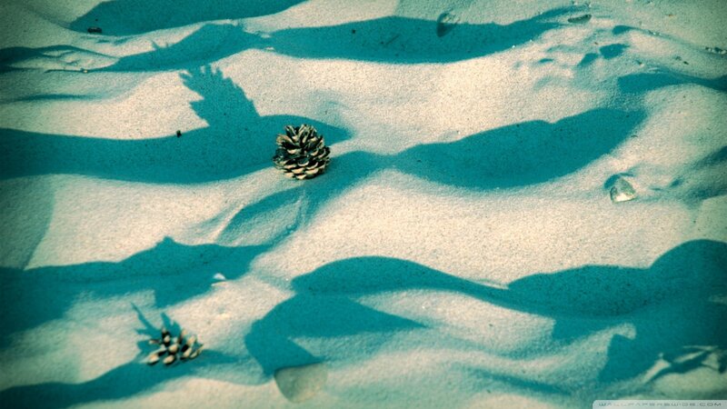 Pine Cones on Sand