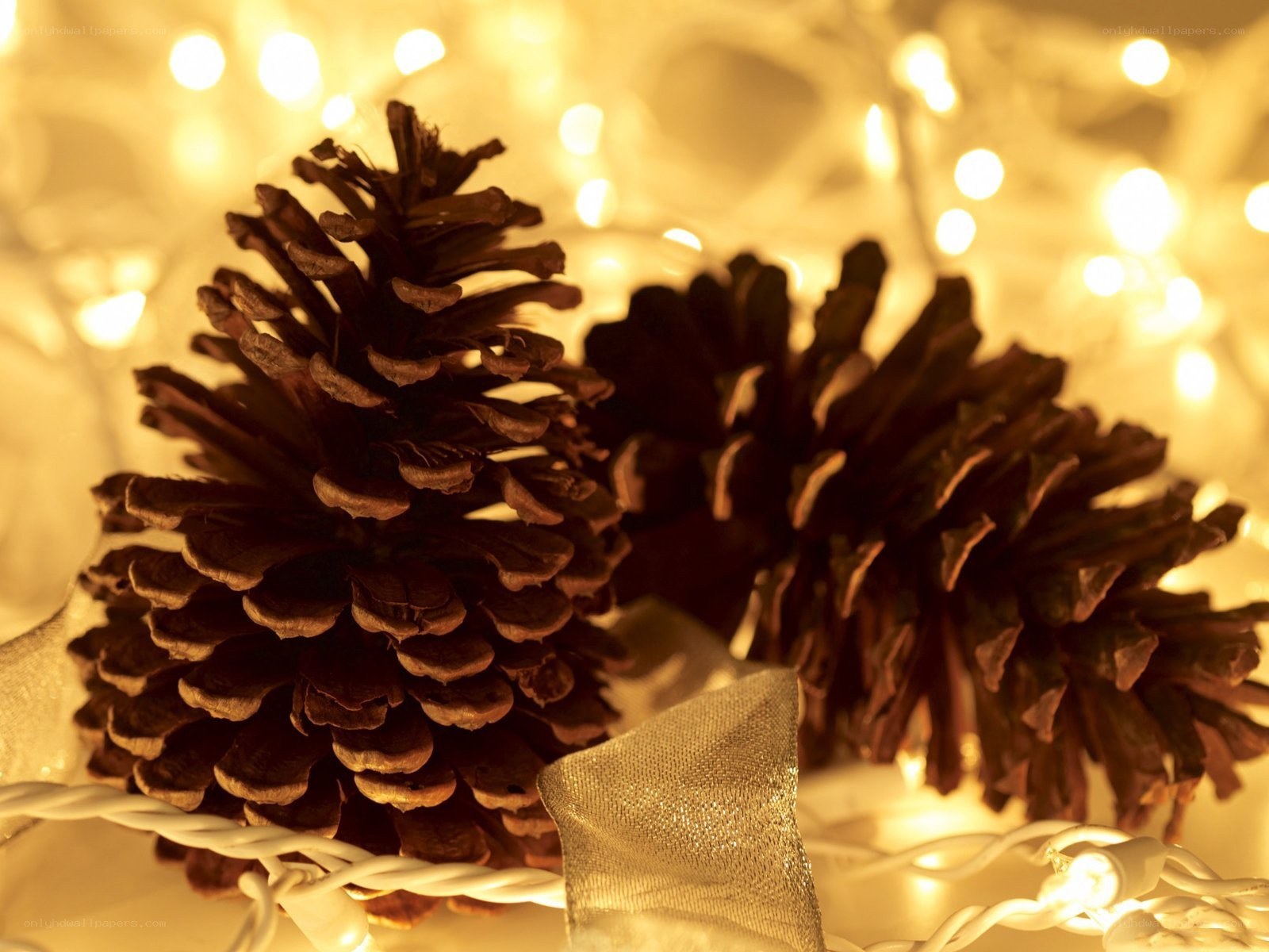 pine cones with fairy lights