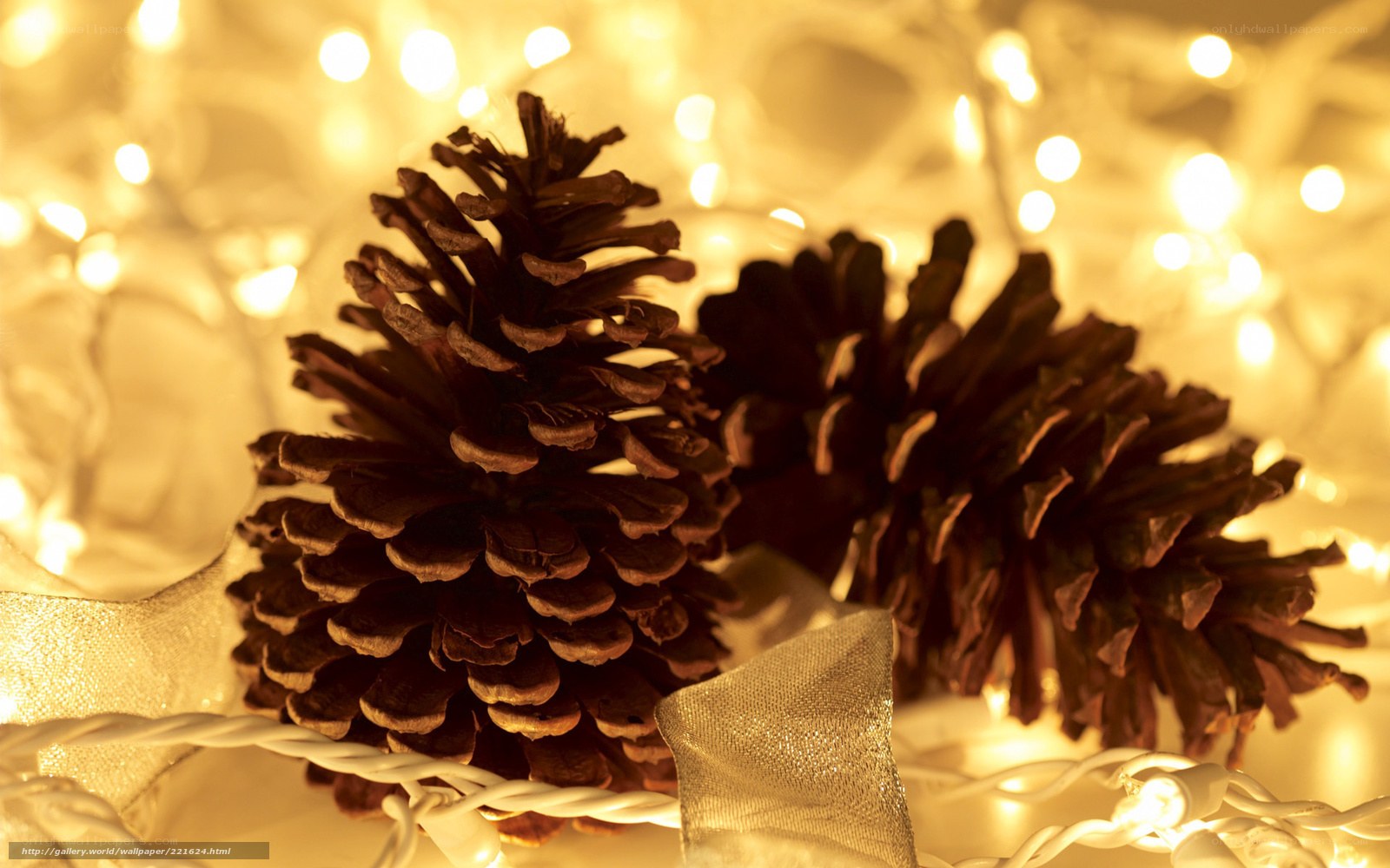 Pine cones with fairy lights