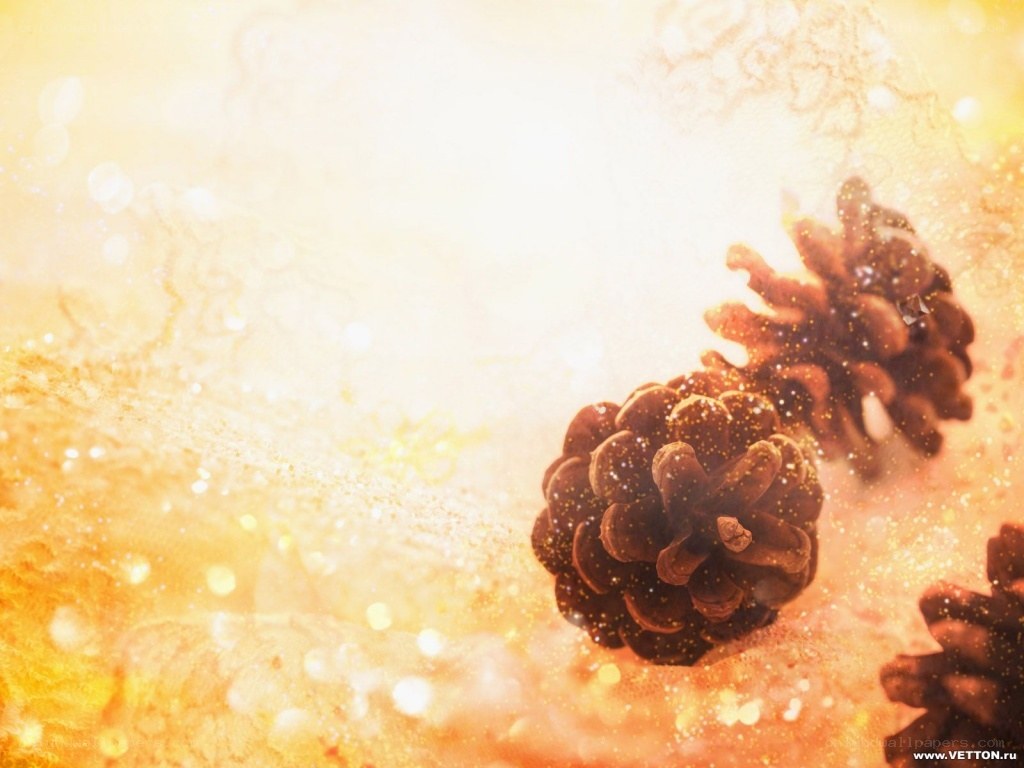 pine cones with golden sparkles