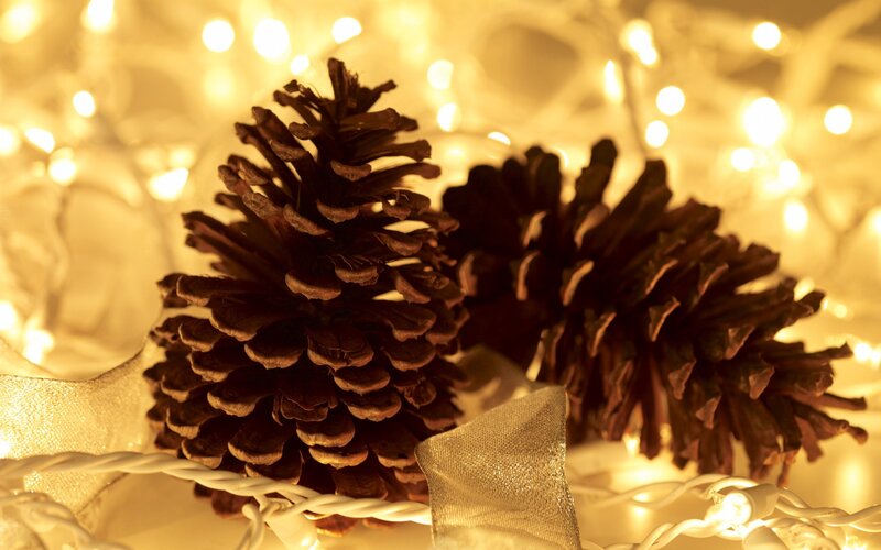 Pine Cones with Lights — Brown, Warm