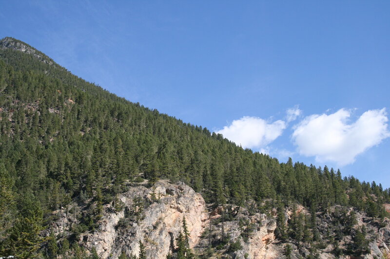 Pine-covered Mountain Slope