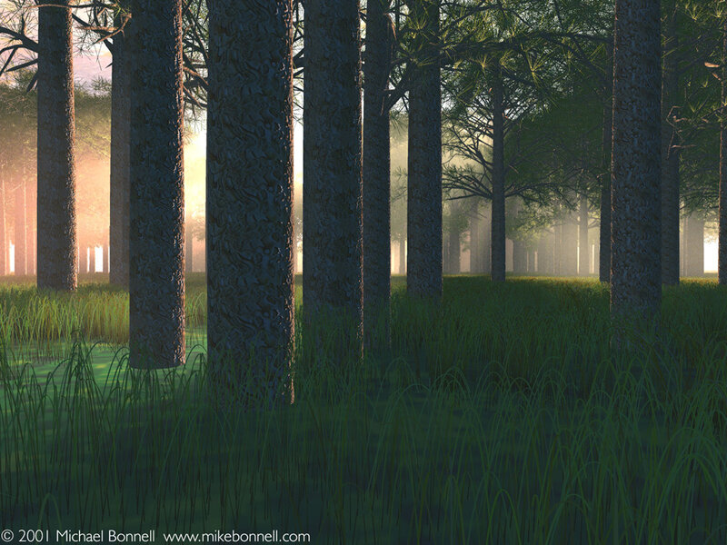 Pine Forest at Dawn — Green, Serene, Sunrise
