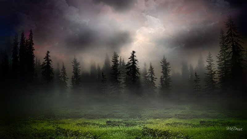 Pine Forest at Dawn — Green