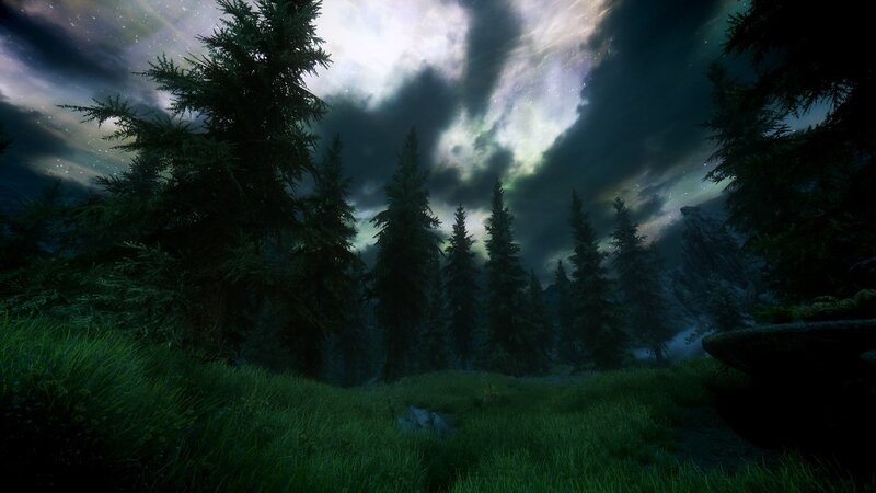 Pine Forest at Night — Green, Dark, Mysterious
