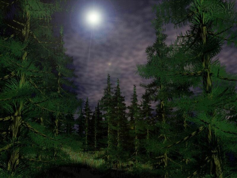 Pine Forest at Night — Green