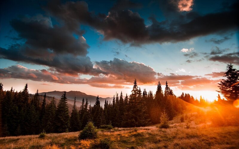 Pine Forest at Sunset — Orange, Dramatic, Photograph, Mountains