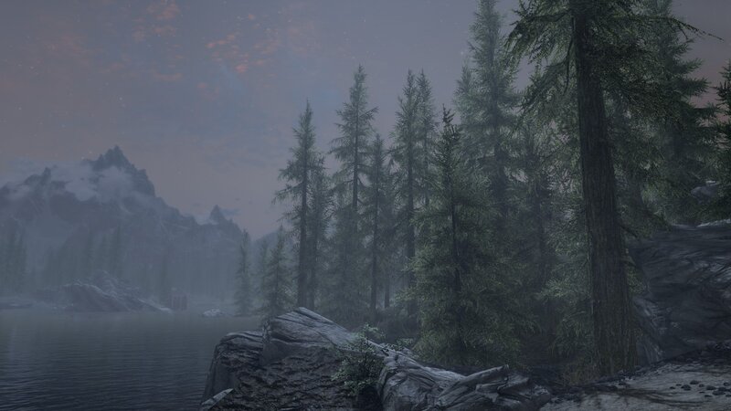 Pine Forest by Lake — Gray