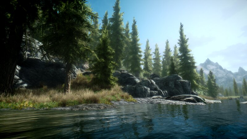 Pine Forest by Lake — Green, Serene, Afternoon