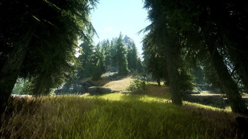 Pine Forest Clearing — Green, Serene, Afternoon, 3d Render