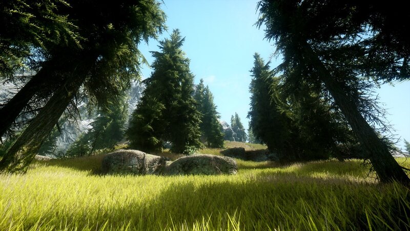 Pine Forest Clearing — Green, Serene, Afternoon, 3d Render, Trees, Rocks
