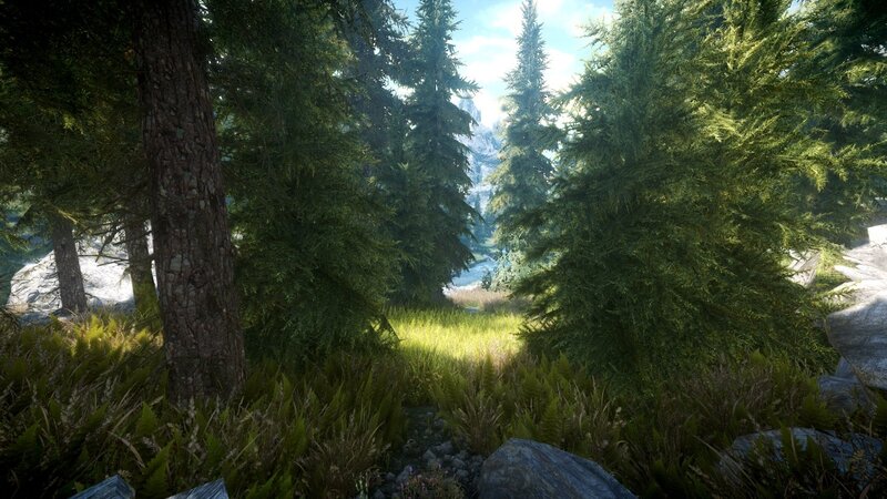 Pine Forest Clearing — Green, Serene, Afternoon, 3d Render, Trees