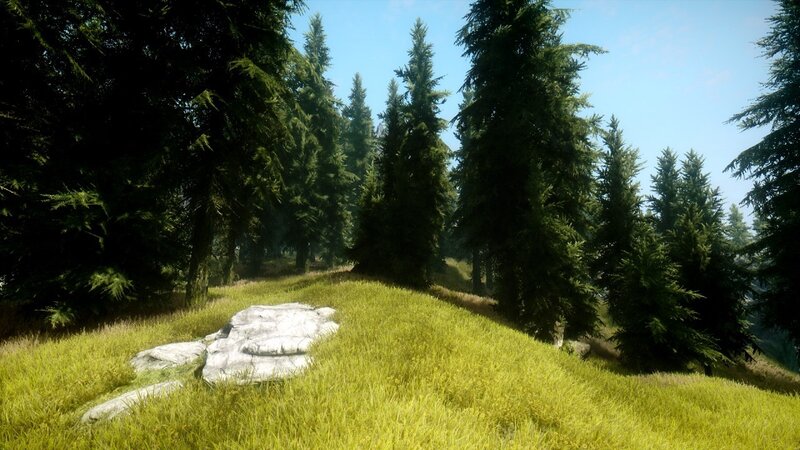 Pine Forest Hillside — Green