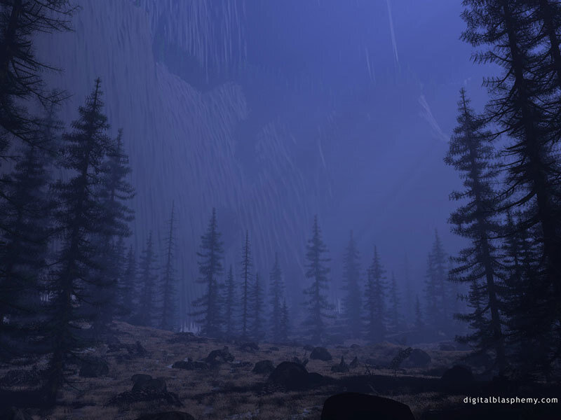 Pine Forest in Rain