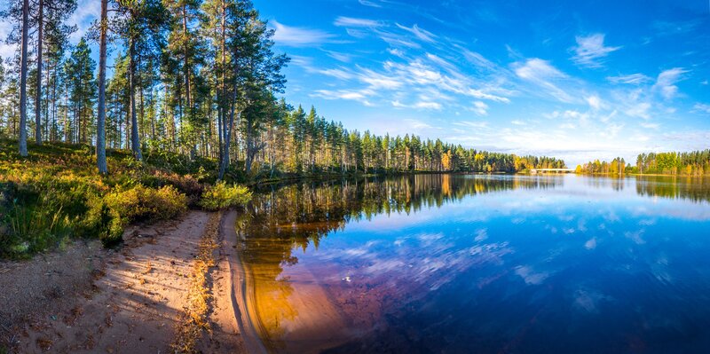 Pine Forest Lake — Blue