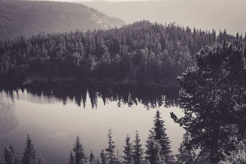 Pine Forest Lake — Gray