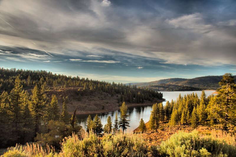 Pine Forest Lake — Green, Dramatic, Sunset