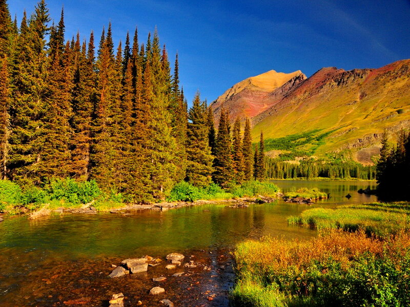 Pine Forest Lake — Green, Serene, Afternoon, Photograph