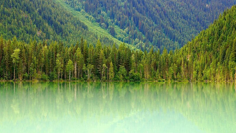 Pine Forest Lake — Green, Serene, Afternoon, Photograph, Trees, Mountain, Reflection