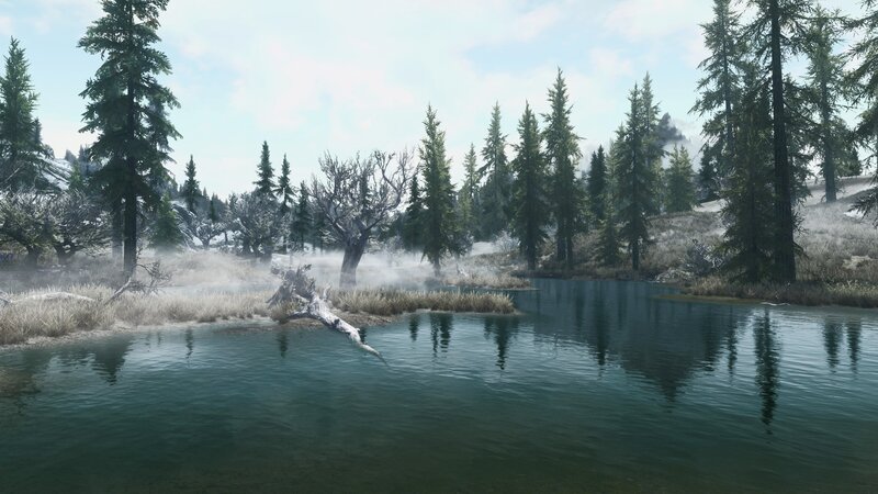 Pine Forest Lake — Green, Serene, Morning