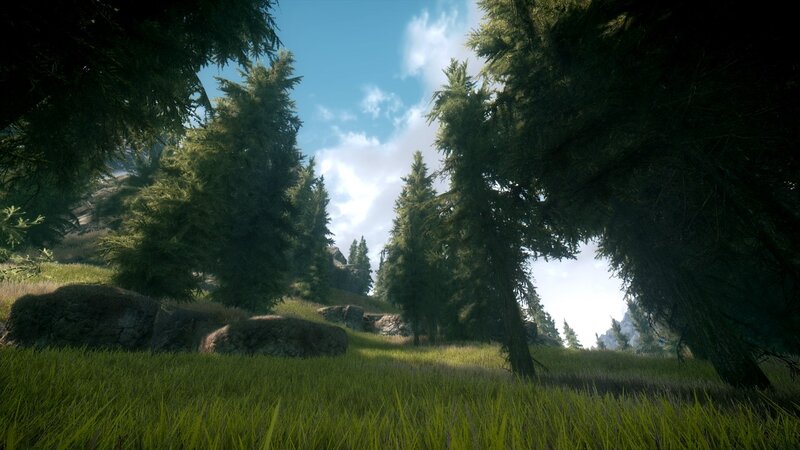 Pine Forest Landscape — Green, Serene, Afternoon, 3d Render, Trees, Grass